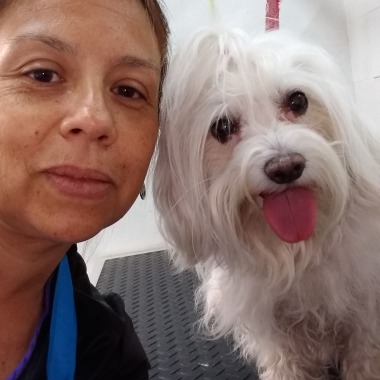 Peluquería Canina a Domicilio