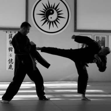 Goshindo to Kenko