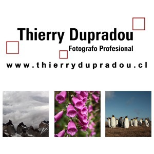 Thierrydupradou ediciones