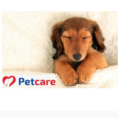 Petcare