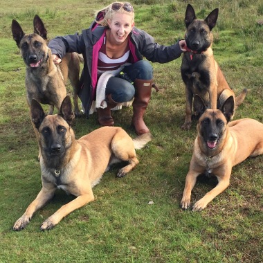 Avonwolf Malinois