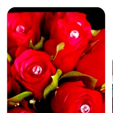Thalia florist