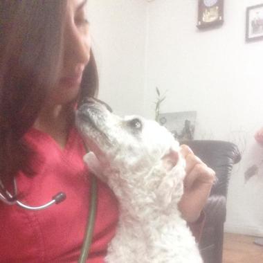 Centro veterinario San andres
