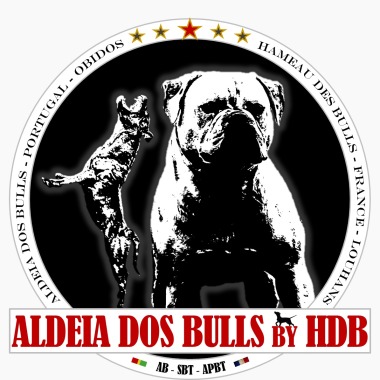 Hdb adb