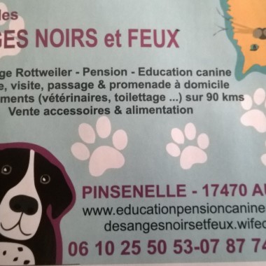 Earl des anges moirs