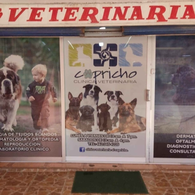 Clinica Veterinaria el Capricho