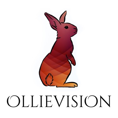 Ollievision Photography