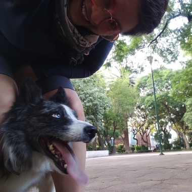 Patricio y sus perros