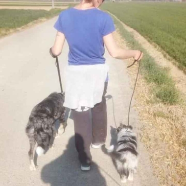 Canis in Fabula centro cinotecnico Novi Ligure