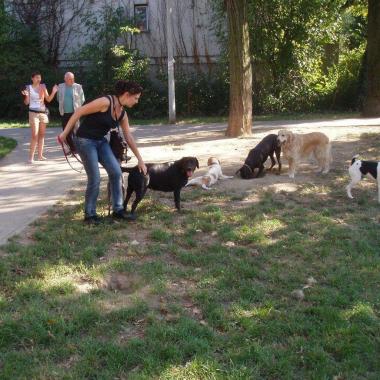 Zagrebački duhek, obrt za skrb i njegu o kućnim ljubimcima