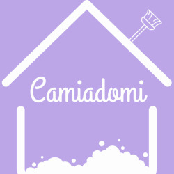 SARL CAMIADOMI