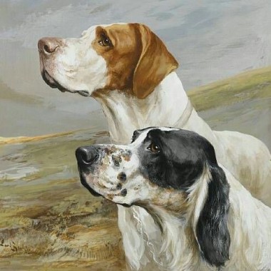 The pack