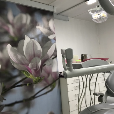 Odontología. Dra Paz Cea G.