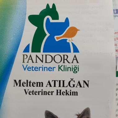 Pandora Veteriner Kliniği