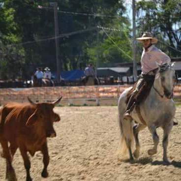 Cuidador de cavalos de calpao e chácara