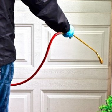 Amurina Disinfestazioni - pest control services