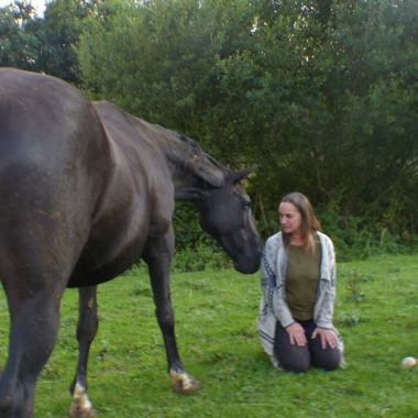 La Magie des chevaux