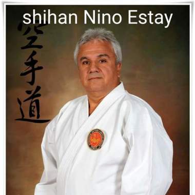 Centro De Artes Marciales Nino Estay
