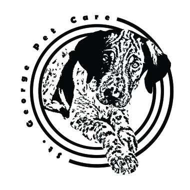 Servicios veterinarios