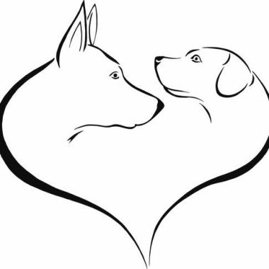 Hundeschule Zentrum Mensch und Hund