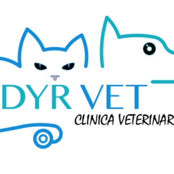 Dyr Vet