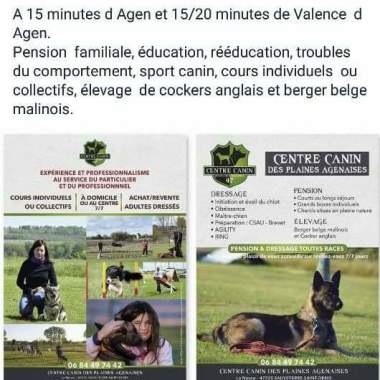 Centre Canin Des Plaines Agenaise