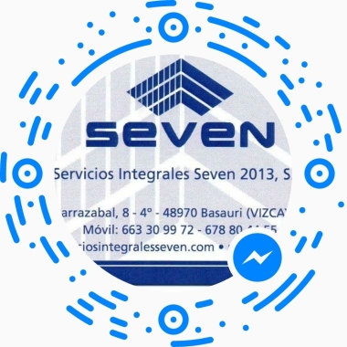 Servicios Integrales Seven 2013