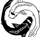 Tai-chi-chuan et Qi-Gong à Penthéréaz et Gland