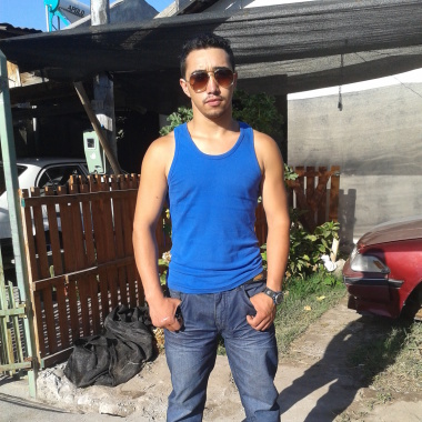 Carpintero wolf