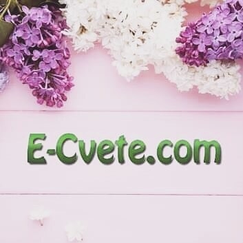 E-cvete