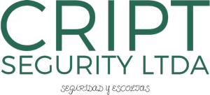 Cript segurity ltda