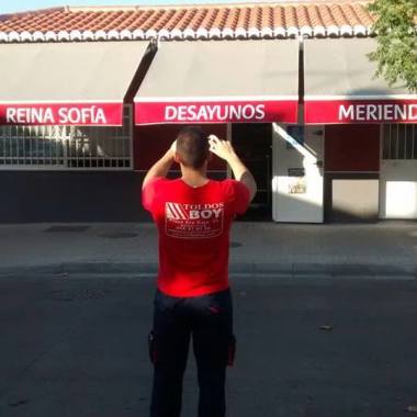 TOLDOS BOY