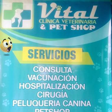 Clinica veterinaria Vital