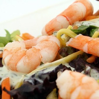 Martin´s Catering
