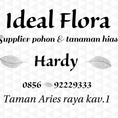 Ideal flora