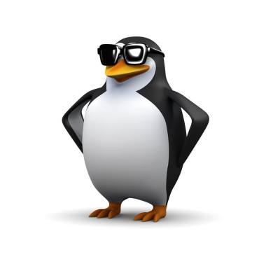 Pingwinek.biz