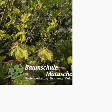 Baumschule Matuschek