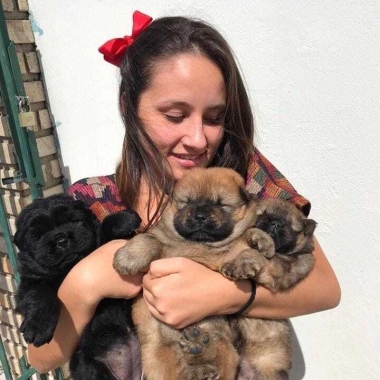 PetSitterLu