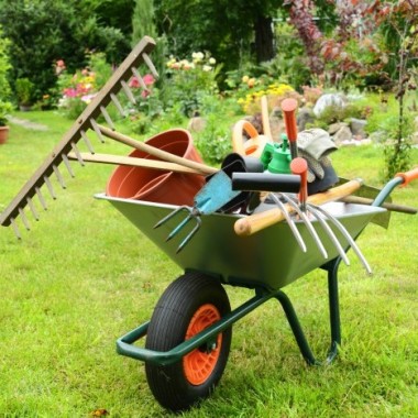 Garden magi
