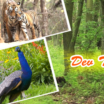 Similipal tour & Travels