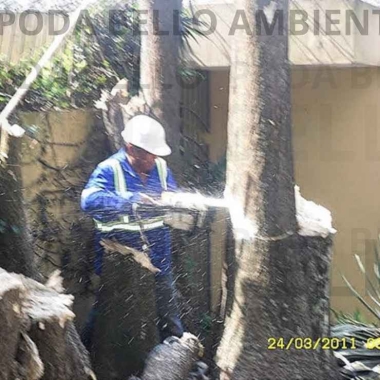 Poda Bello Ambiental