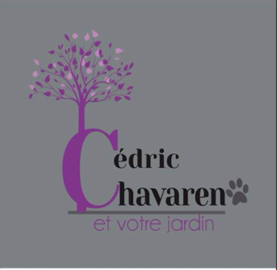 Chavaren Cedric