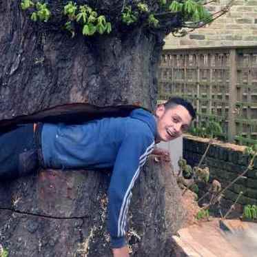Surrey Tree Services
