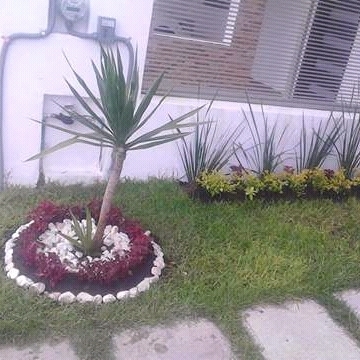 Paisaje y jardin