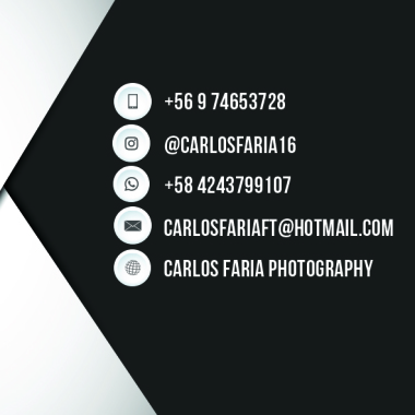 Carlos Faria Photography