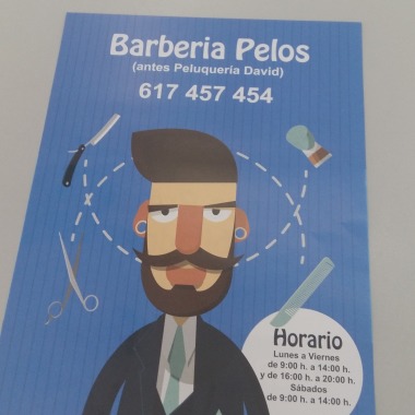 Barberia pelos