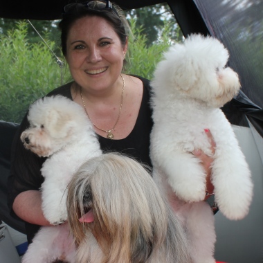 Style&dog Grooming Atelier