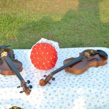 Aulas de Violino/ Música para Eventos