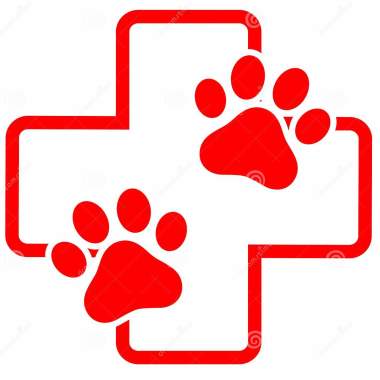 Veterinaria a domicilio