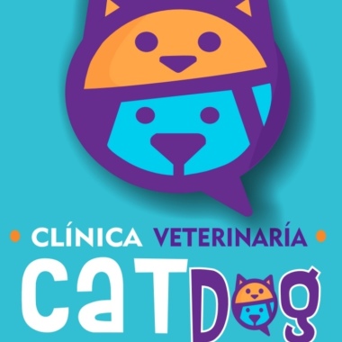 Cat Dog Mania clínica veterinaria